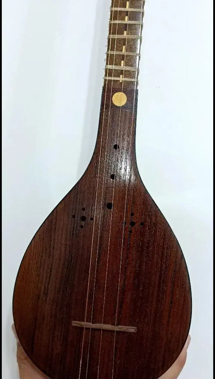 سه تار حرفه ای و کارگاهی دو مهر استاد شاهرخی|سازهای سنتی|کرج, دهقان ویلا|دیوار