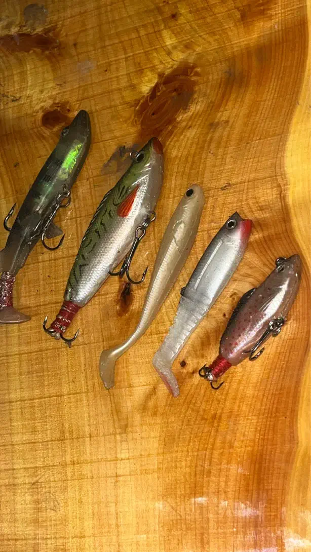 طعمه مصنوعی ژلهای|ماهیگیری|اردبیل, |دیوار