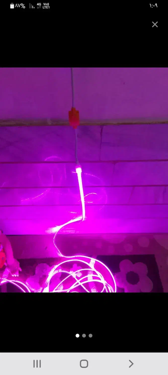 چراغ نواری|ریسه و چراغ تزئینی|محلات, |دیوار