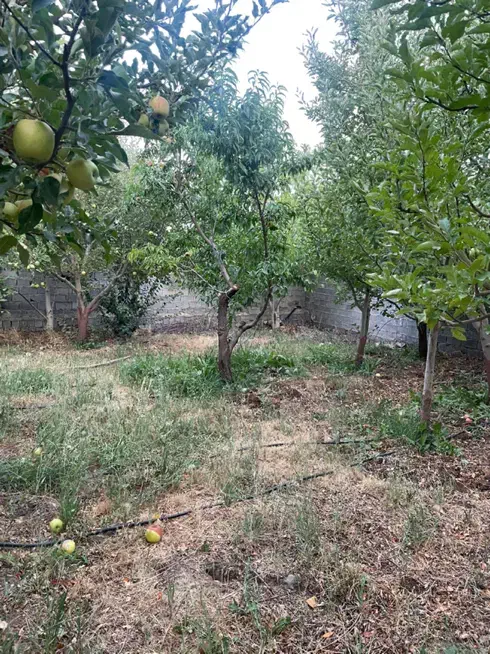 فروش۴۱۰متر باغ زمین انشعابات+سندتکبرگ دماوند جابان|فروش زمین و ملک کلنگی|دماوند, دماوند|دیوار