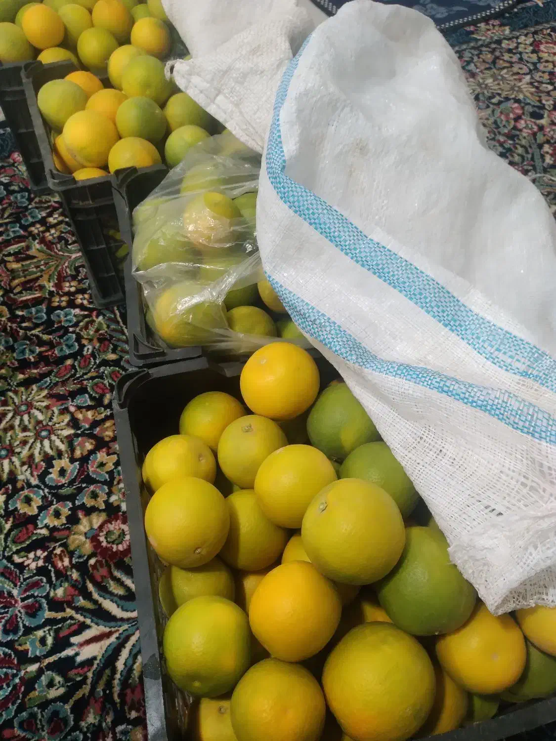 پرتقال‌درجه‌۱|خوردنی و آشامیدنی|عنبرآباد, |دیوار