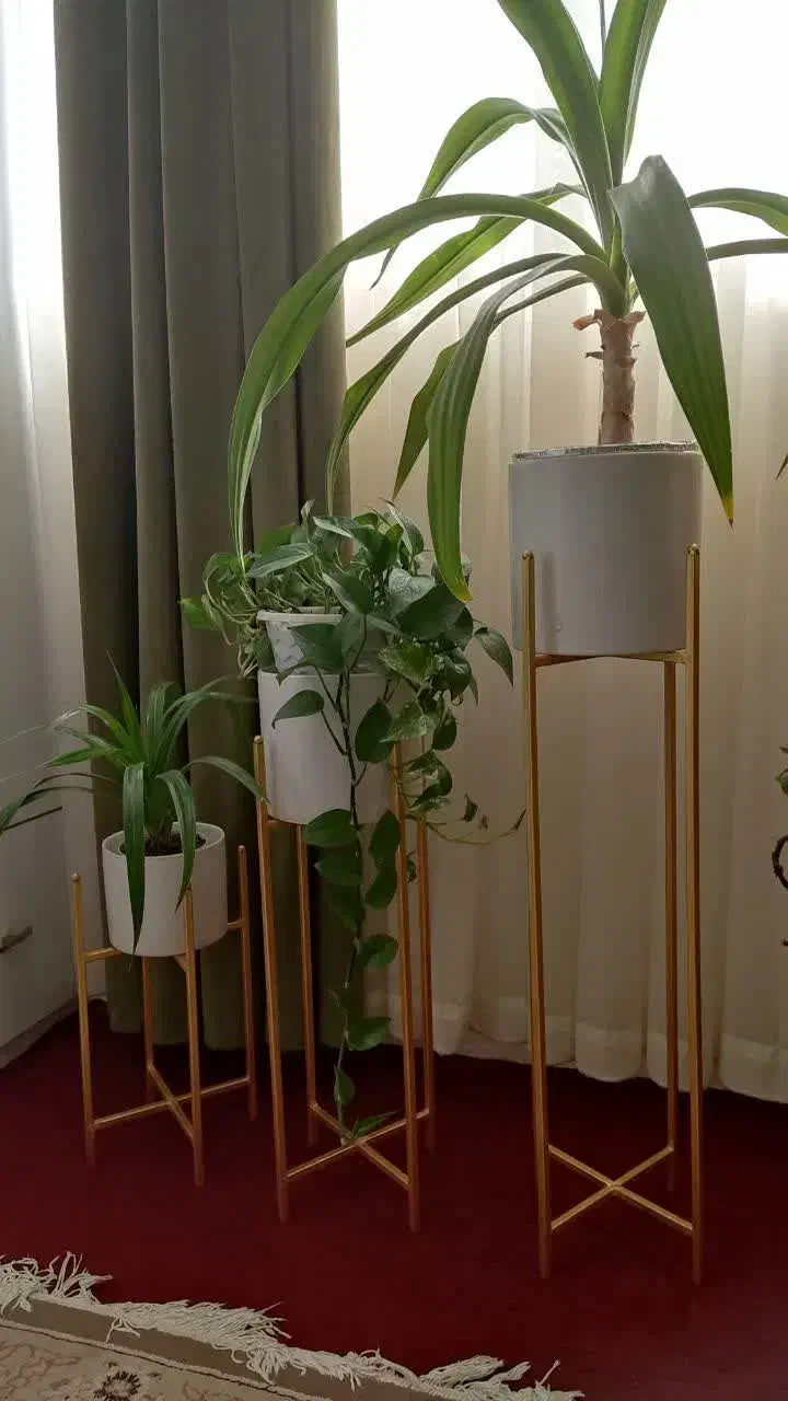 انواع استند گل|گل و گیاه طبیعی|بیرجند, |دیوار