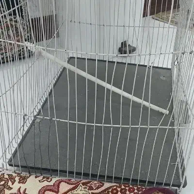 قفس|لوازم جانبی حیوانات|مشهد, ایثار|دیوار