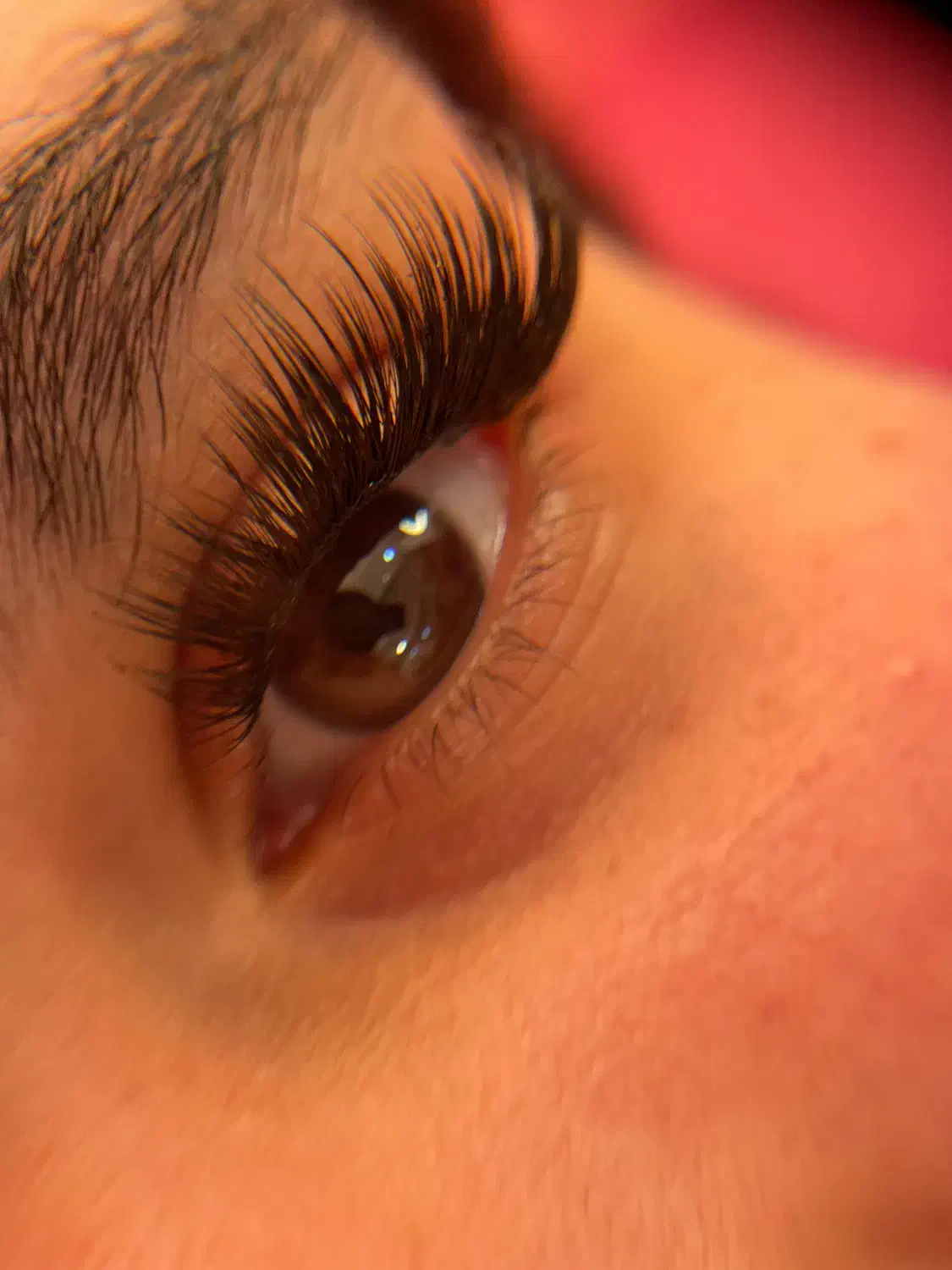 مژه|خدمات آرایشگری و زیبایی|رشت, رودباری|دیوار