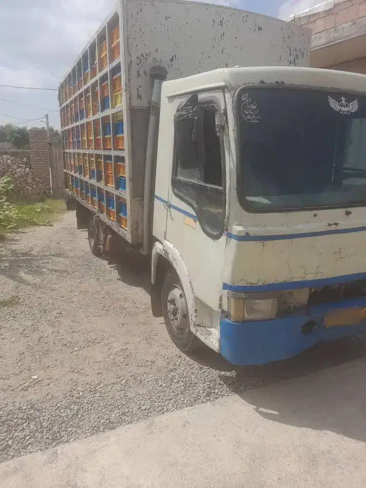 ایویکو6تن مرغی مدل 81|خودرو سنگین|گرگان, |دیوار