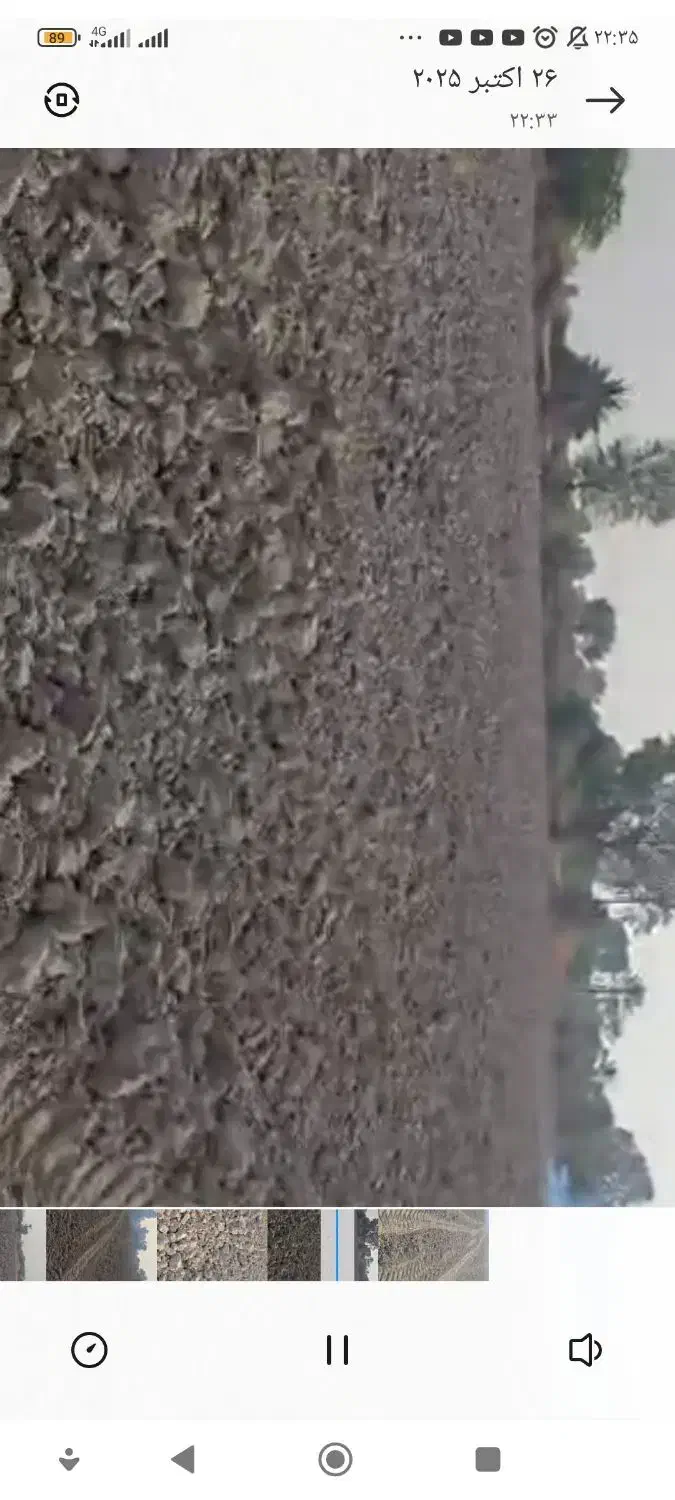 اجاره زمین کشاورزی آماده به کار|اجارهٔ دفتر صنعتی، کشاورزی، تجاری|تخت, |دیوار