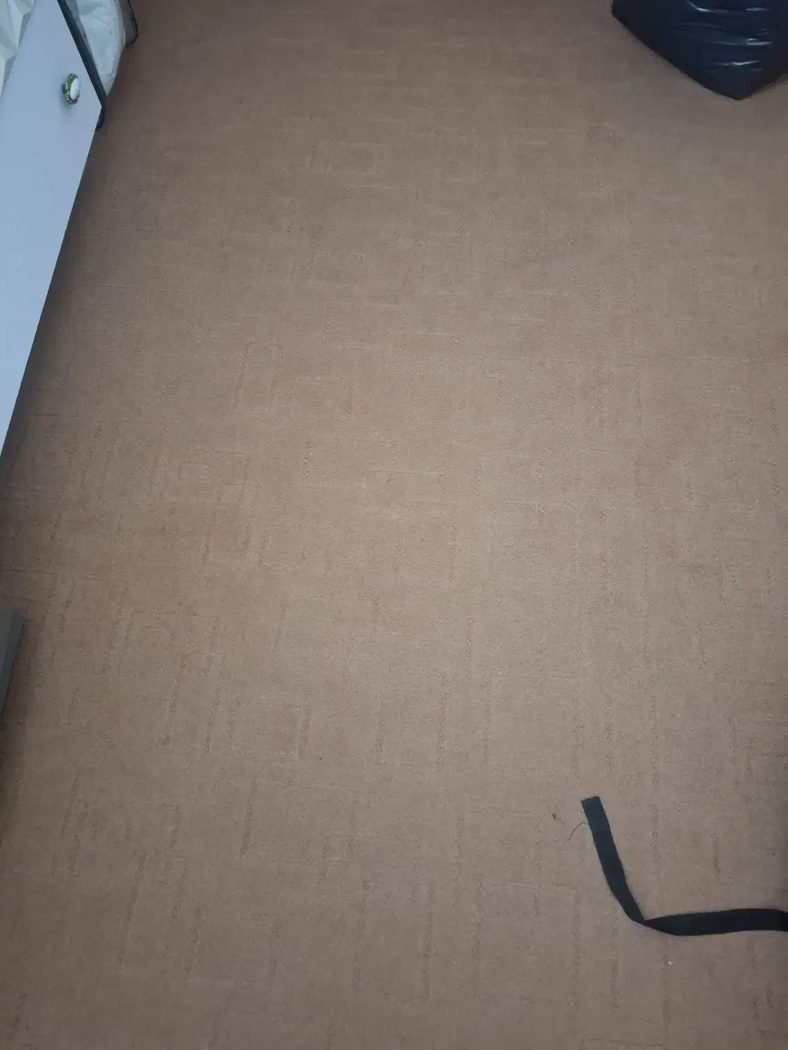 موکت|موکت|بندر گناوه, |دیوار