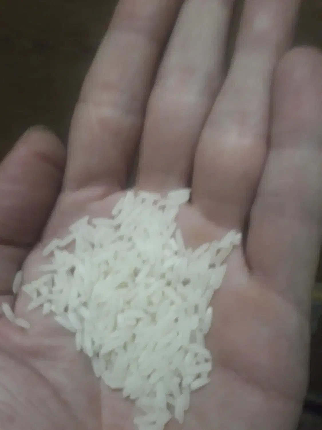 برنج طارم|خوردنی و آشامیدنی|تهران, نیروی هوایی (پیروزی)|دیوار