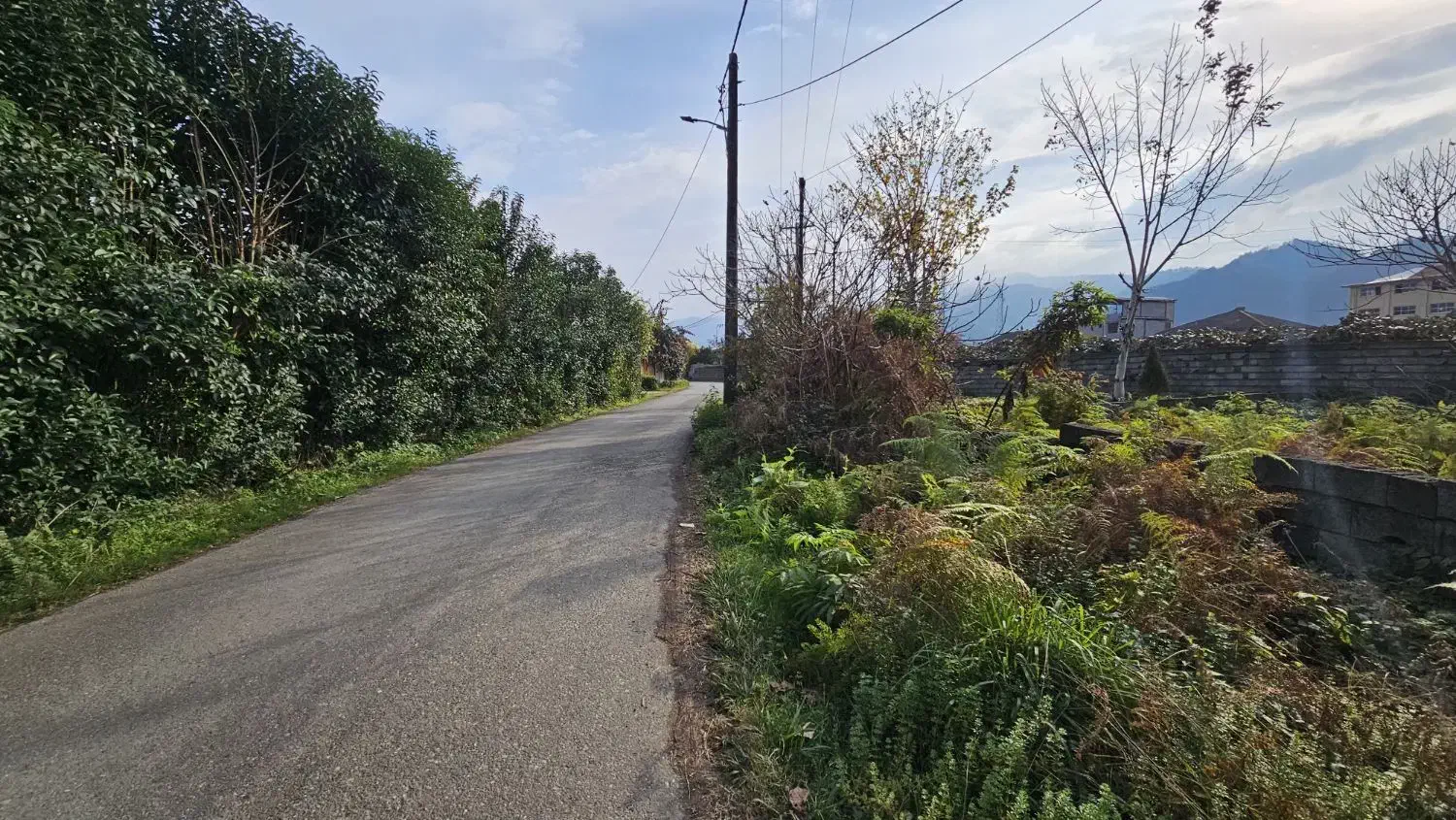 فروش زمین ۲۷۸ متر کاربری مسکونی بر جاده|فروش زمین و ملک کلنگی|چابکسر, |دیوار