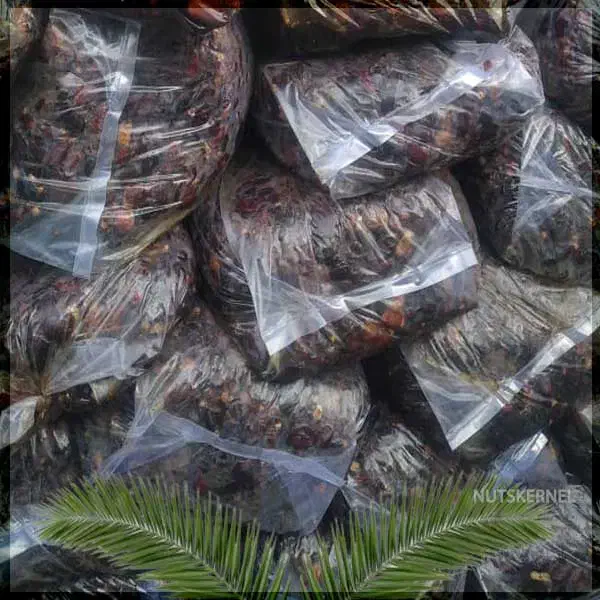 خرید کده و ضایعات بالاترین قیمت|عمده‌فروشی|ریگان, |دیوار