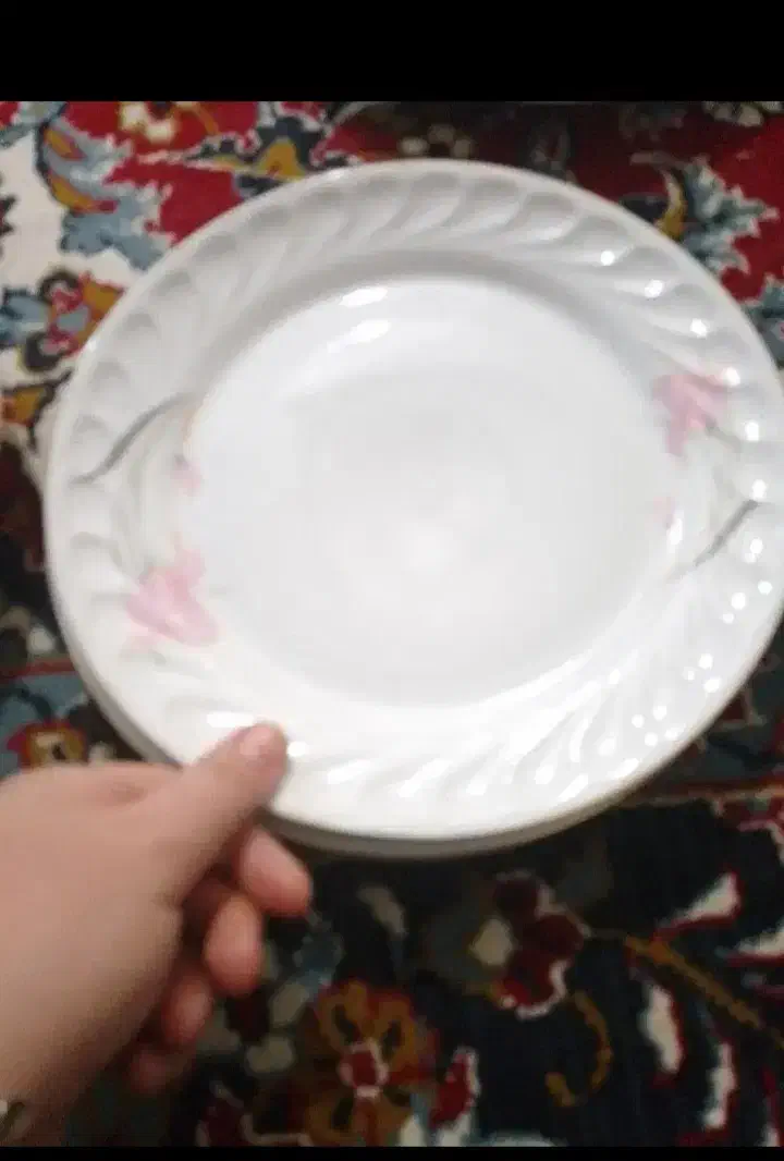 ظروف چینی تمیز|ظروف سرو و پذیرایی|قم, شاد قلی|دیوار