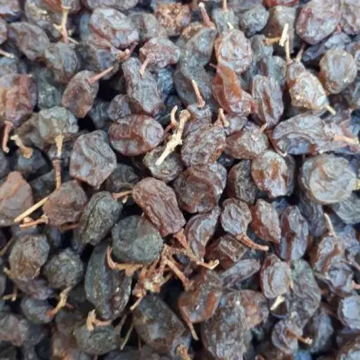 آفتابی کشمش|خوردنی و آشامیدنی|شیراز, لاله|دیوار