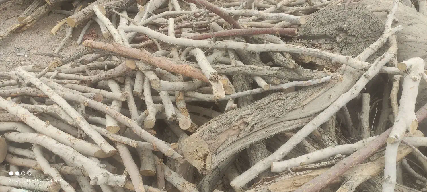 فروش چوب|خدمات باغبانی و درختکاری|شاهینشهر, خبرنگار|دیوار