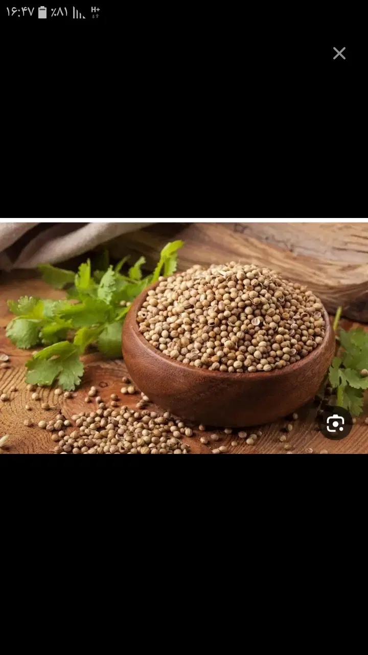 گشنیز|خوردنی و آشامیدنی|نهاوند, |دیوار