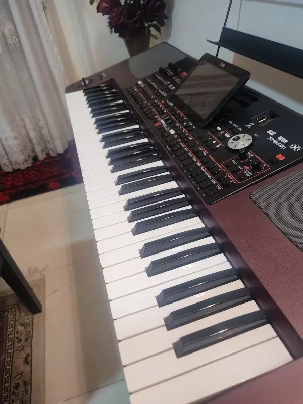 KORG PA1000|پیانو، کیبورد، آکاردئون|پرند, فاز ۴|دیوار