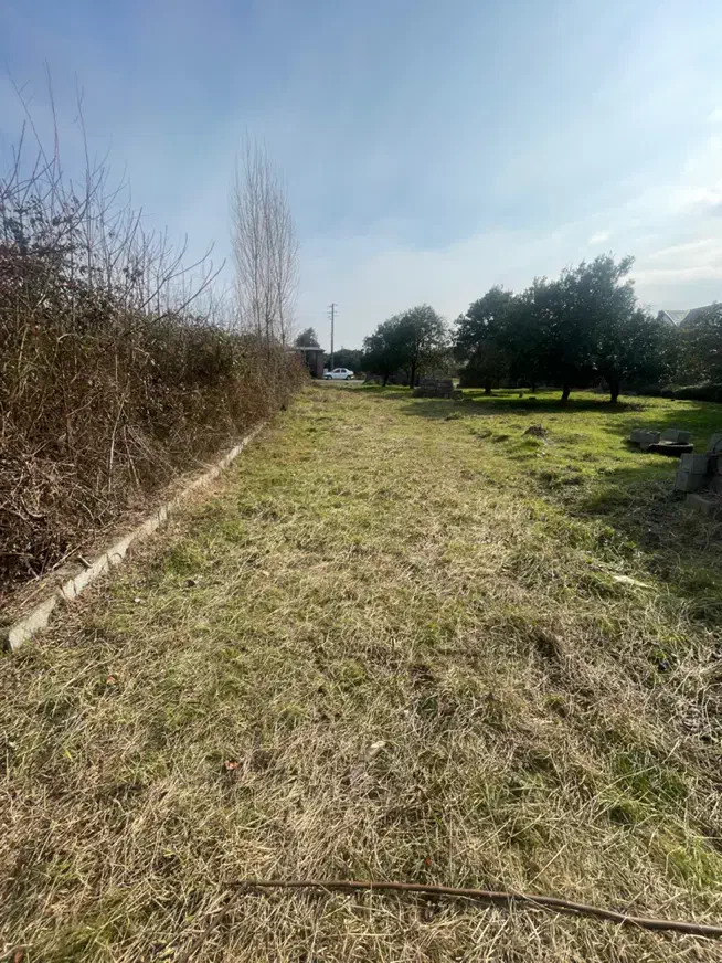 ۲۵۰متر سرمایه گذرای|فروش زمین و ملک کلنگی|کلاچای, |دیوار