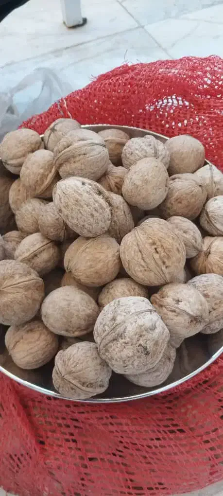 گردو پر مغز و چرب سبک و خوشمزه|خوردنی و آشامیدنی|تهران, شهرک استقلال|دیوار