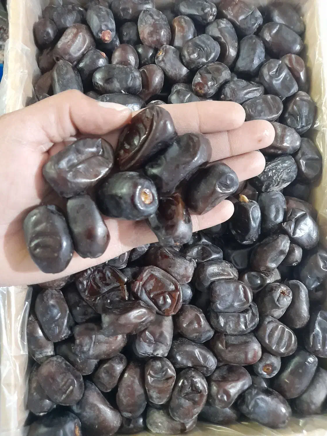 رطب درجه یک|خوردنی و آشامیدنی|مشهد, محمدآباد|دیوار