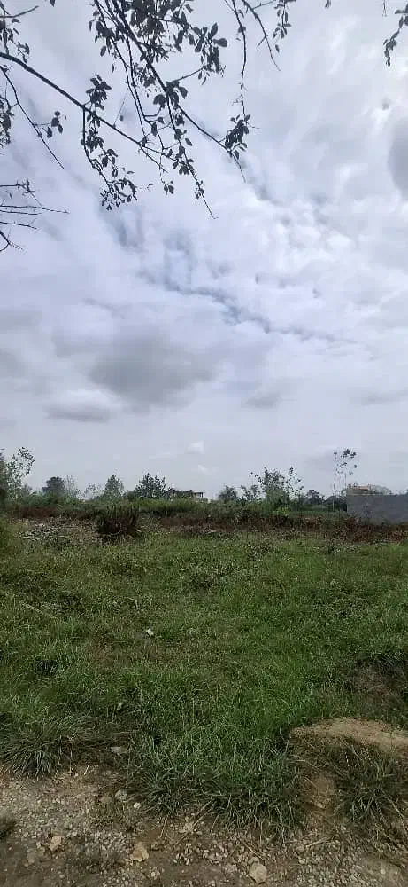 300متر داخل بافت مجوز دو دیوار باخودم|فروش زمین و ملک کلنگی|احمدسرگوراب, |دیوار