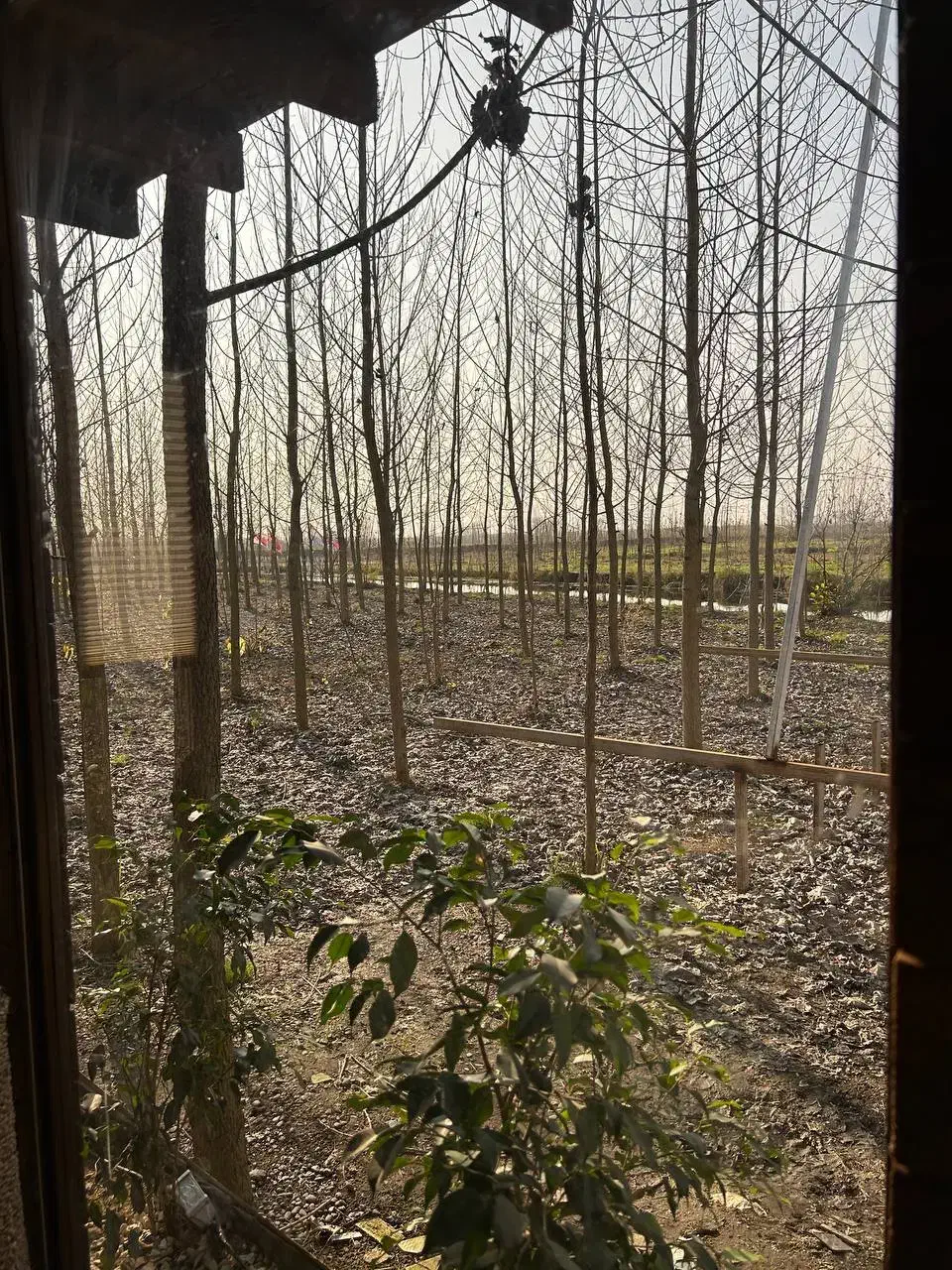 ویلا در آغوش طبیعت با دسترسی مستقیم به آب|فروش خانه و ویلا|میاندوآب, |دیوار