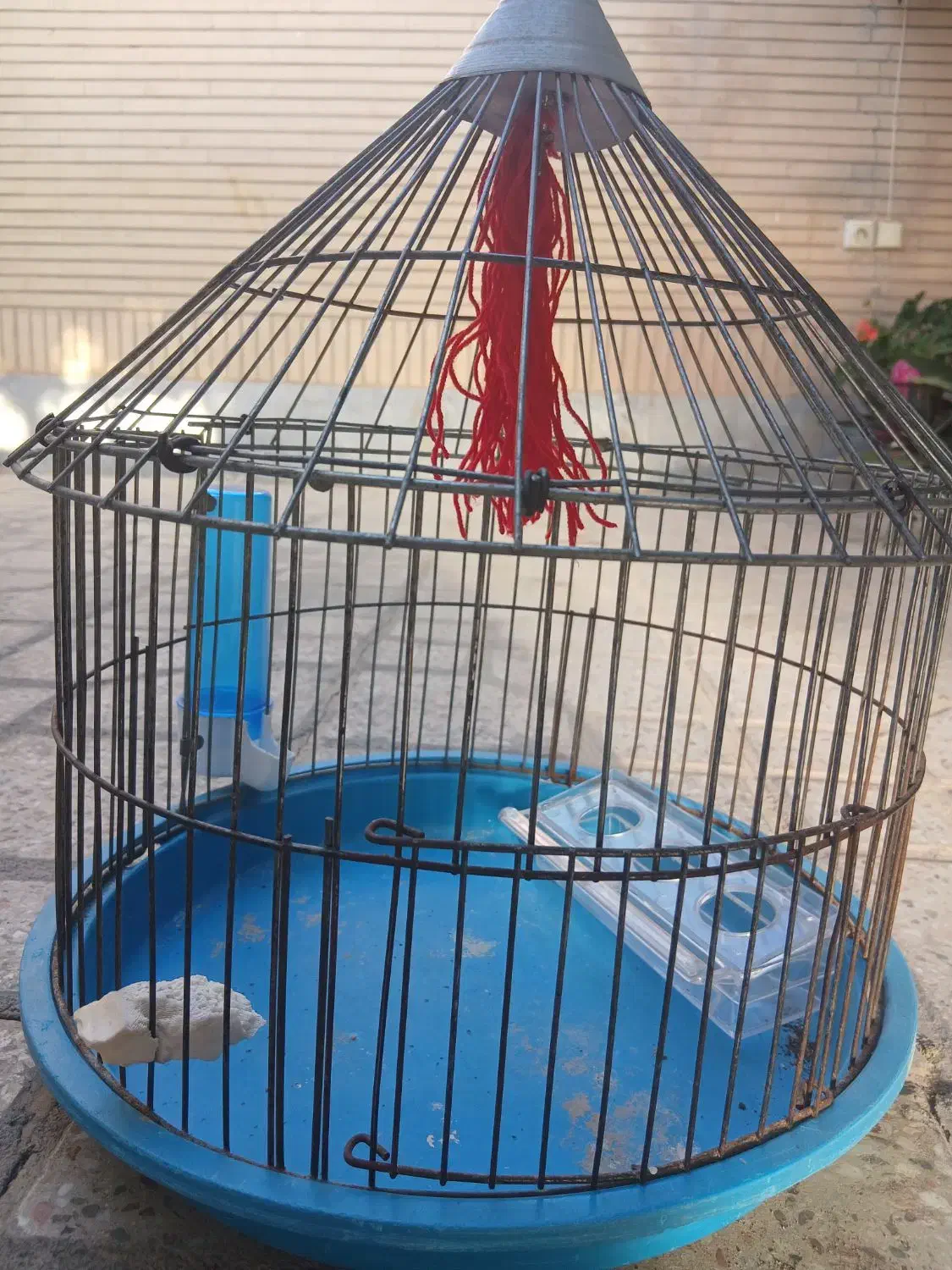 قفس طرقه|لوازم جانبی حیوانات|شاهین‌شهر, شهرک گلدیس|دیوار