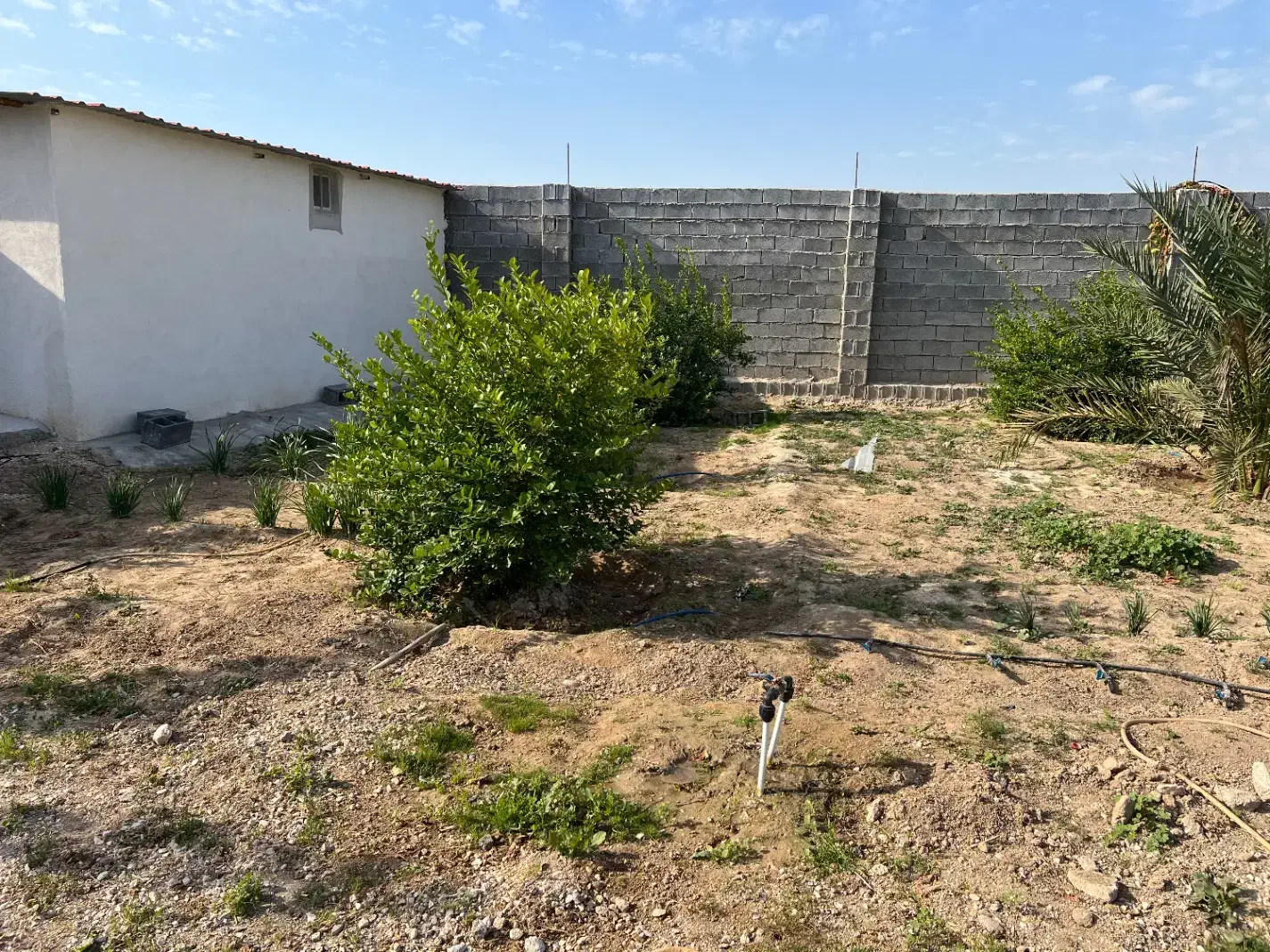 فروش ملک|فروش خانه و ویلا|چغادک, |دیوار