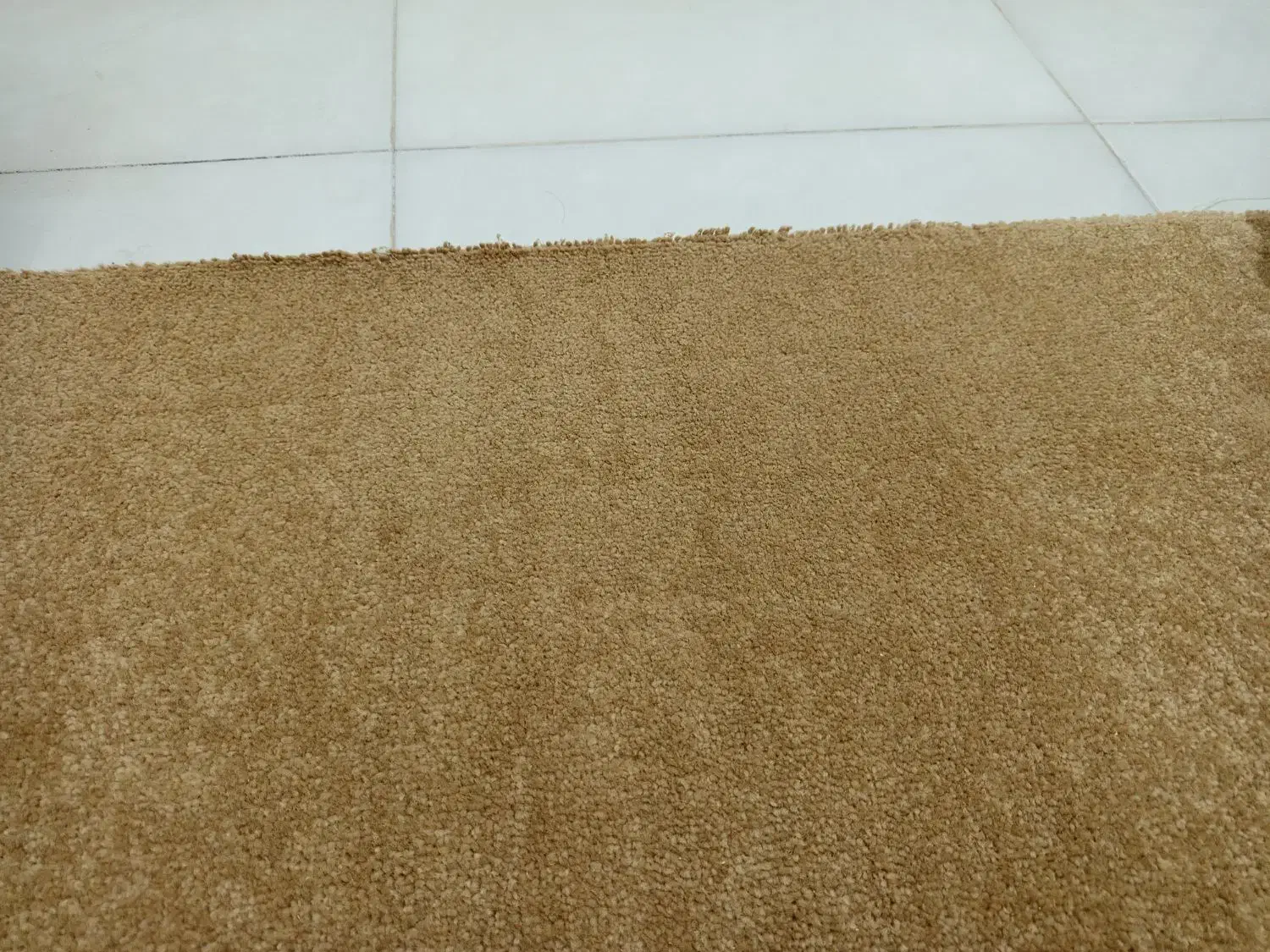 موکت پرز بلند|موکت|نیشابور, بزرگمهر|دیوار