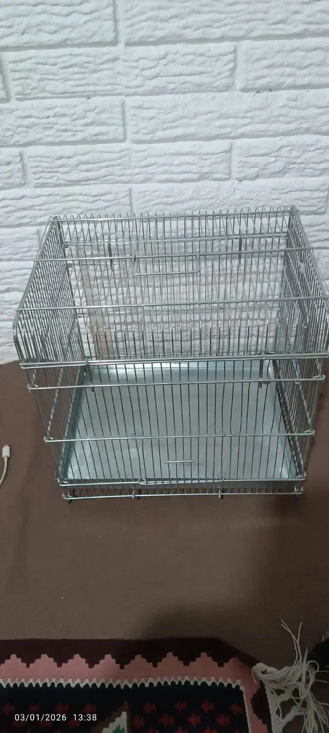 قفس سهره|لوازم جانبی حیوانات|رباط‌کریم, شهرک والفجر|دیوار