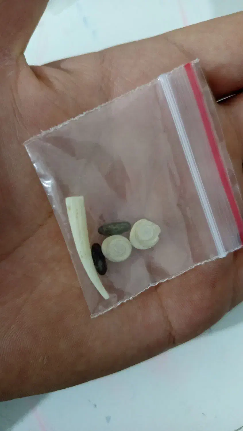 مهره اصلی به ضمانت|کلکسیون اشیاء عتیقه|خمینیشهر, |دیوار