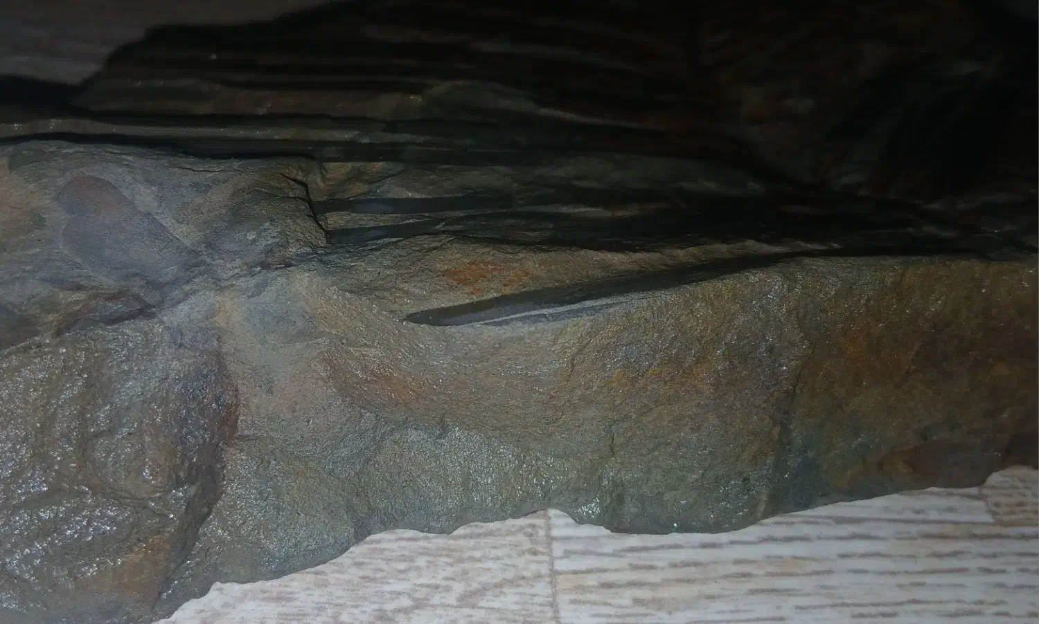 فسیل|کلکسیون اشیاء عتیقه|تهران, طرشت|دیوار