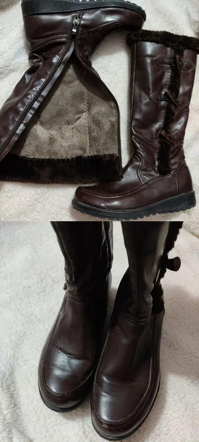 بوت بلند|کیف، کفش، کمربند|جهرم, |دیوار