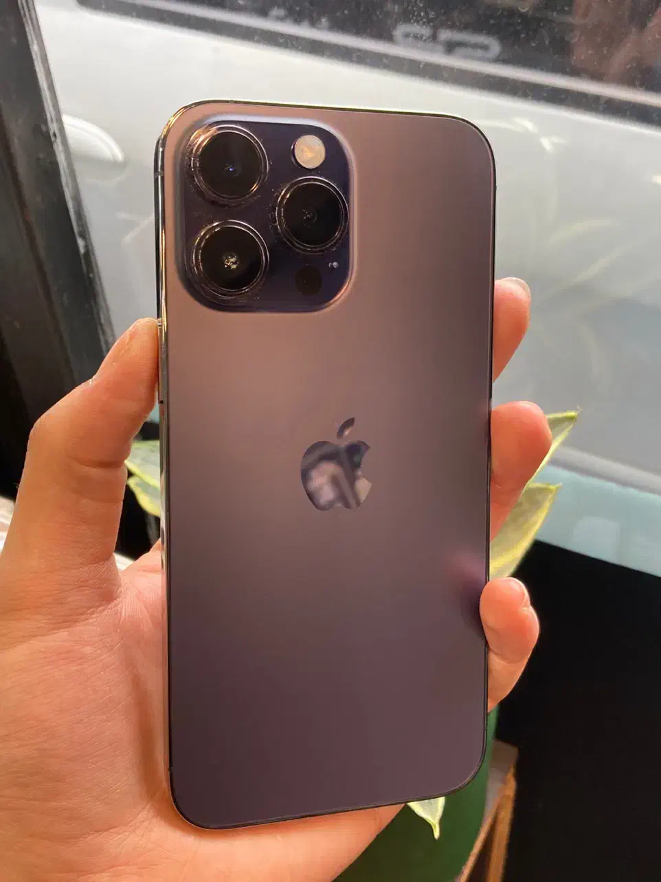 iphone 14 pro max|موبایل|رشت, منظریه|دیوار