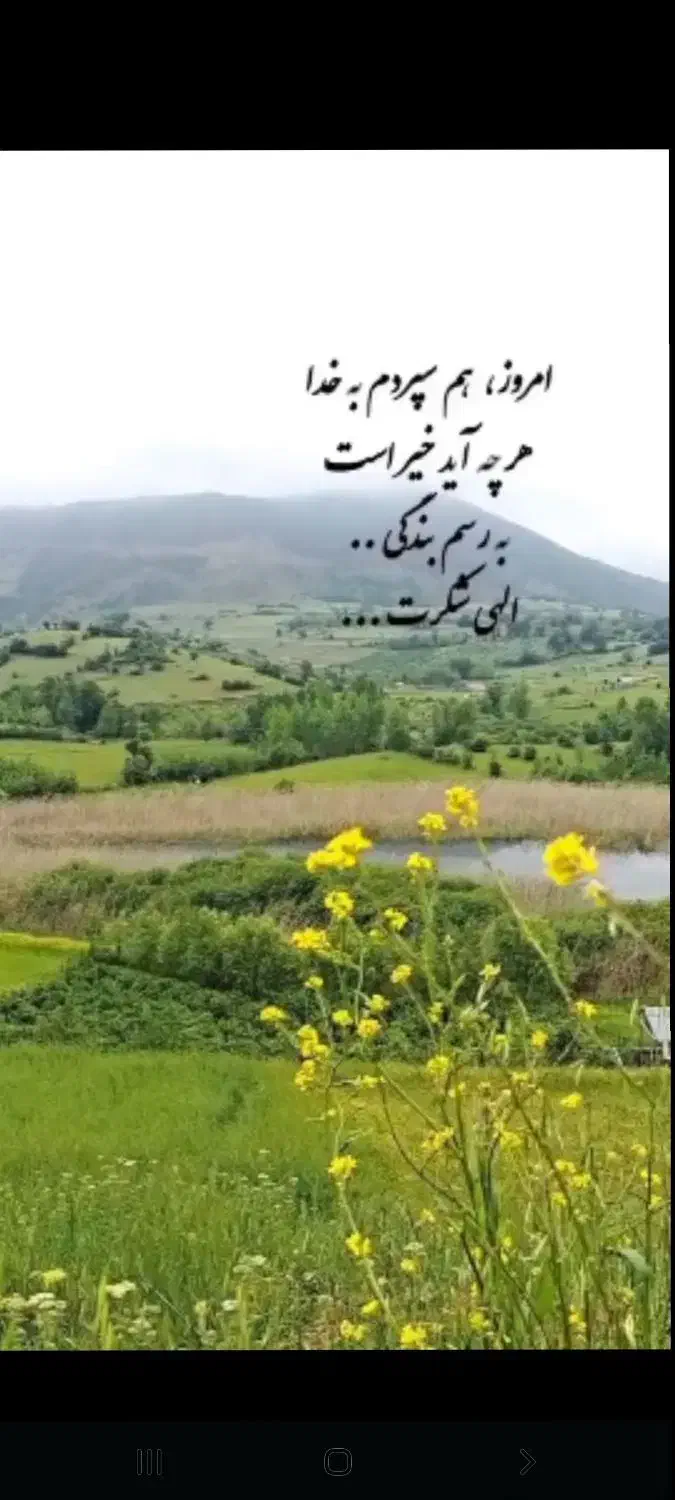 تعدادی کارت گمشده|اشیا|یاسوج, |دیوار