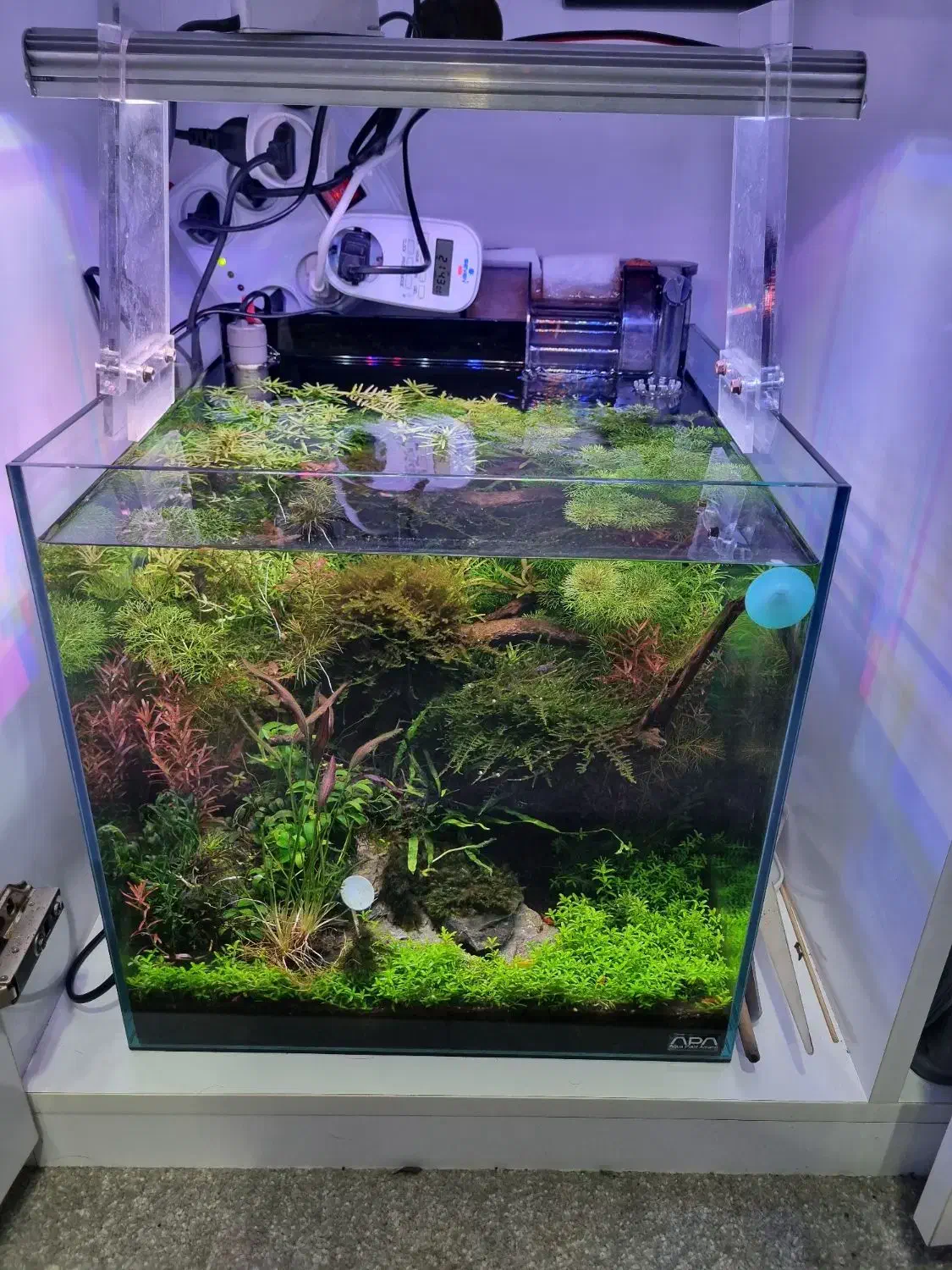 اکواریوم پلنت مجهز ۳۵در ۳۵|ماهی|اهواز, اسماعیلیه|دیوار