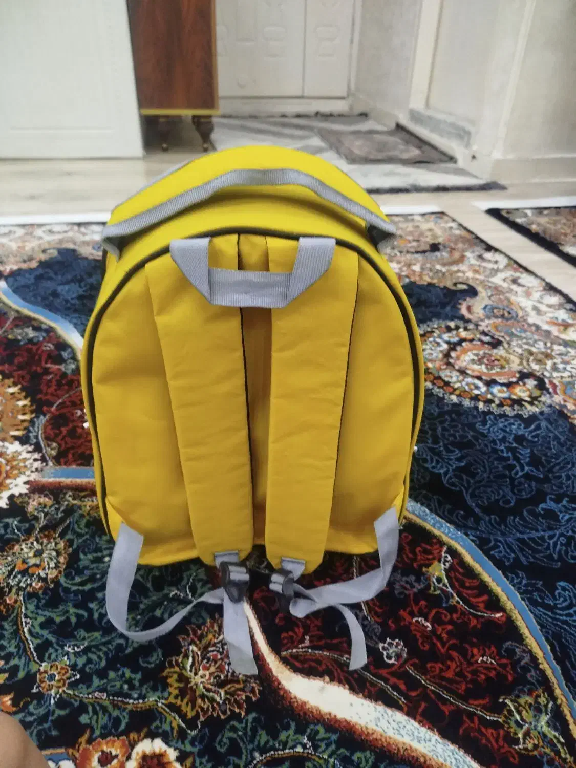 نو نو|لوازم جانبی حیوانات|اسلامشهر, شهرک واوان|دیوار