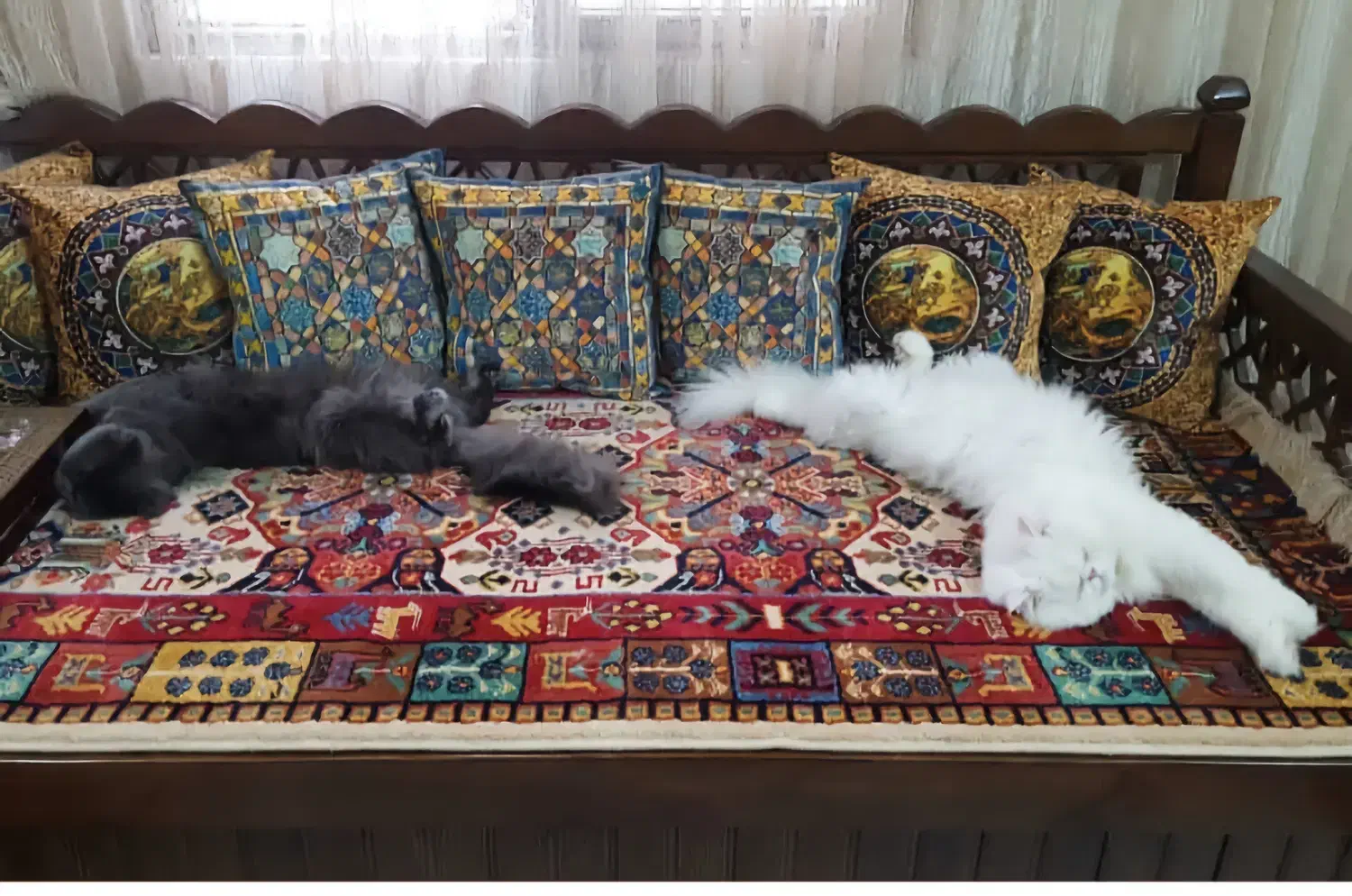 کوسن مخمل|رختخواب، بالش، پتو|هشتگرد, شهرک گلها|دیوار