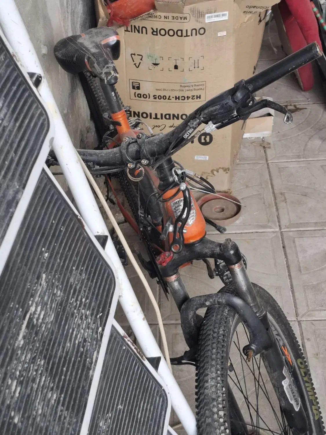 موتور و دوچرخه|حراج|مراغه, |دیوار