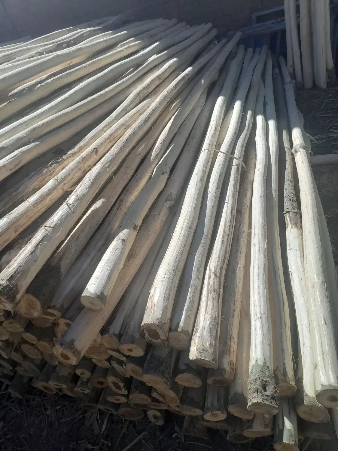 انواع چوب|عمده‌فروشی|شهرکرد, |دیوار