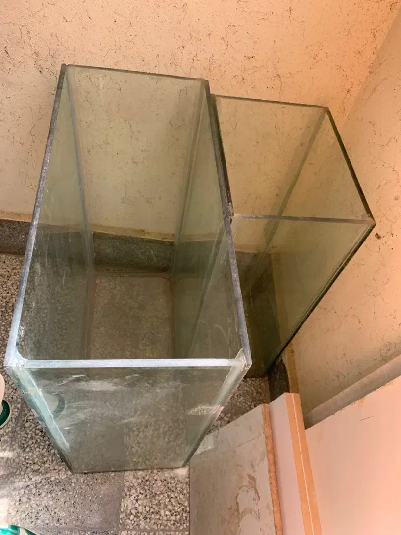 اکواریوم|ماهی|صدرا-فارس, فاز ۱|دیوار