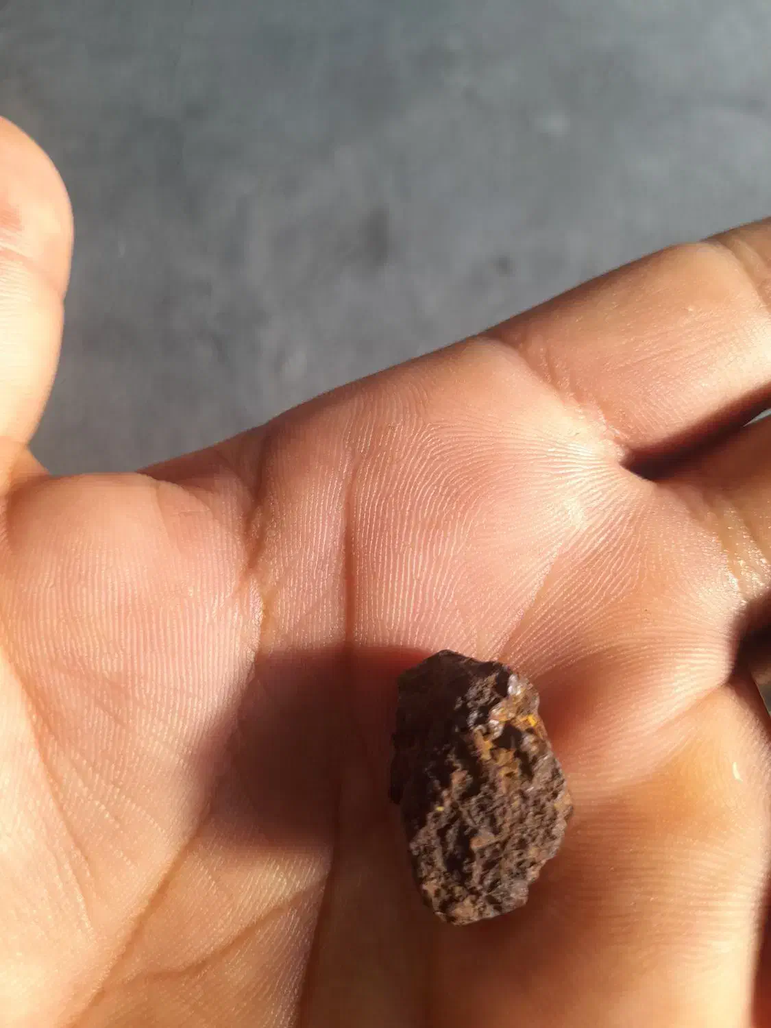 شهاب سنگ|کلکسیون اشیاء عتیقه|گله دار, |دیوار