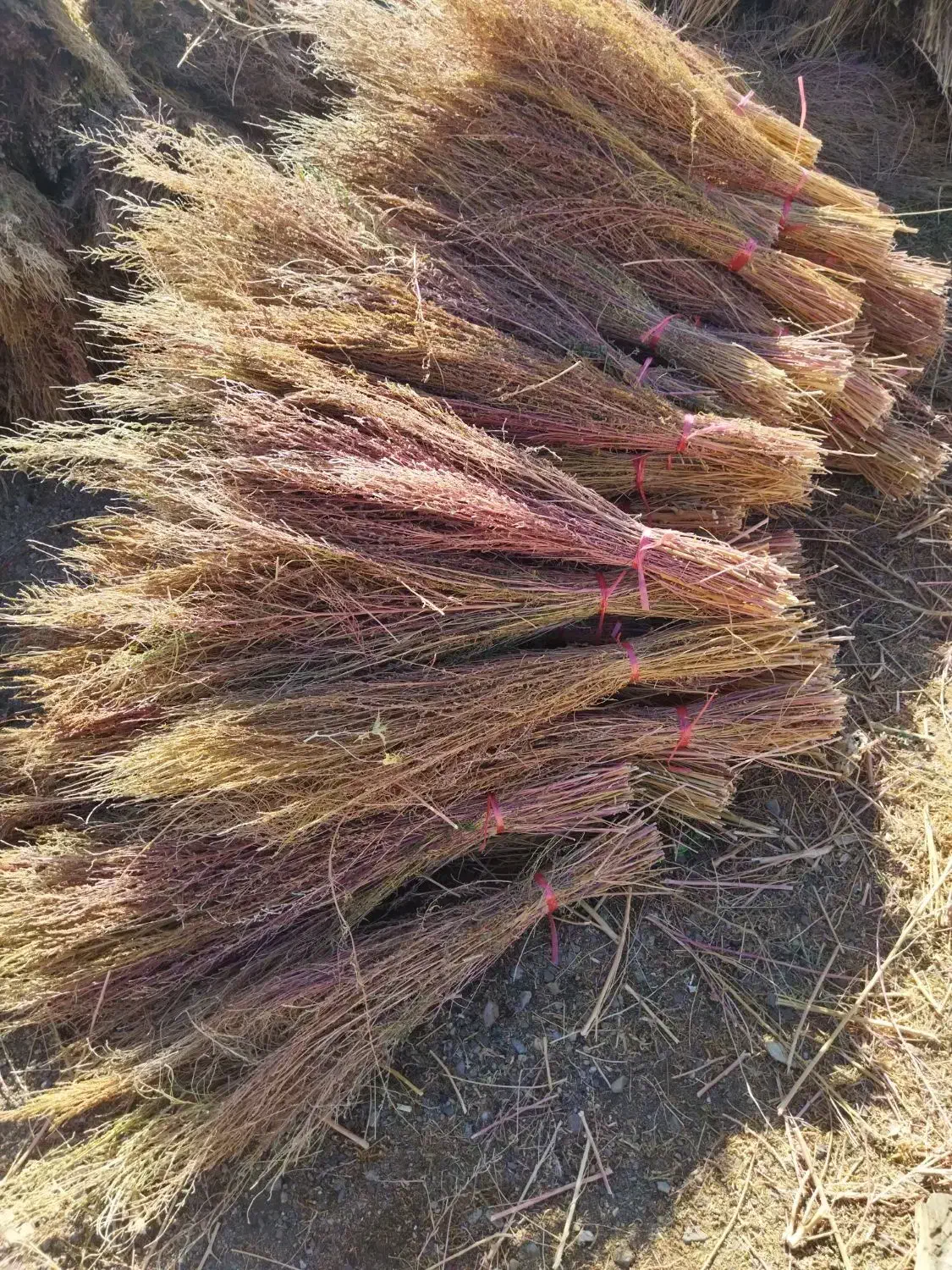 جارو نظافت|لوازم نظافت|روانسر, |دیوار