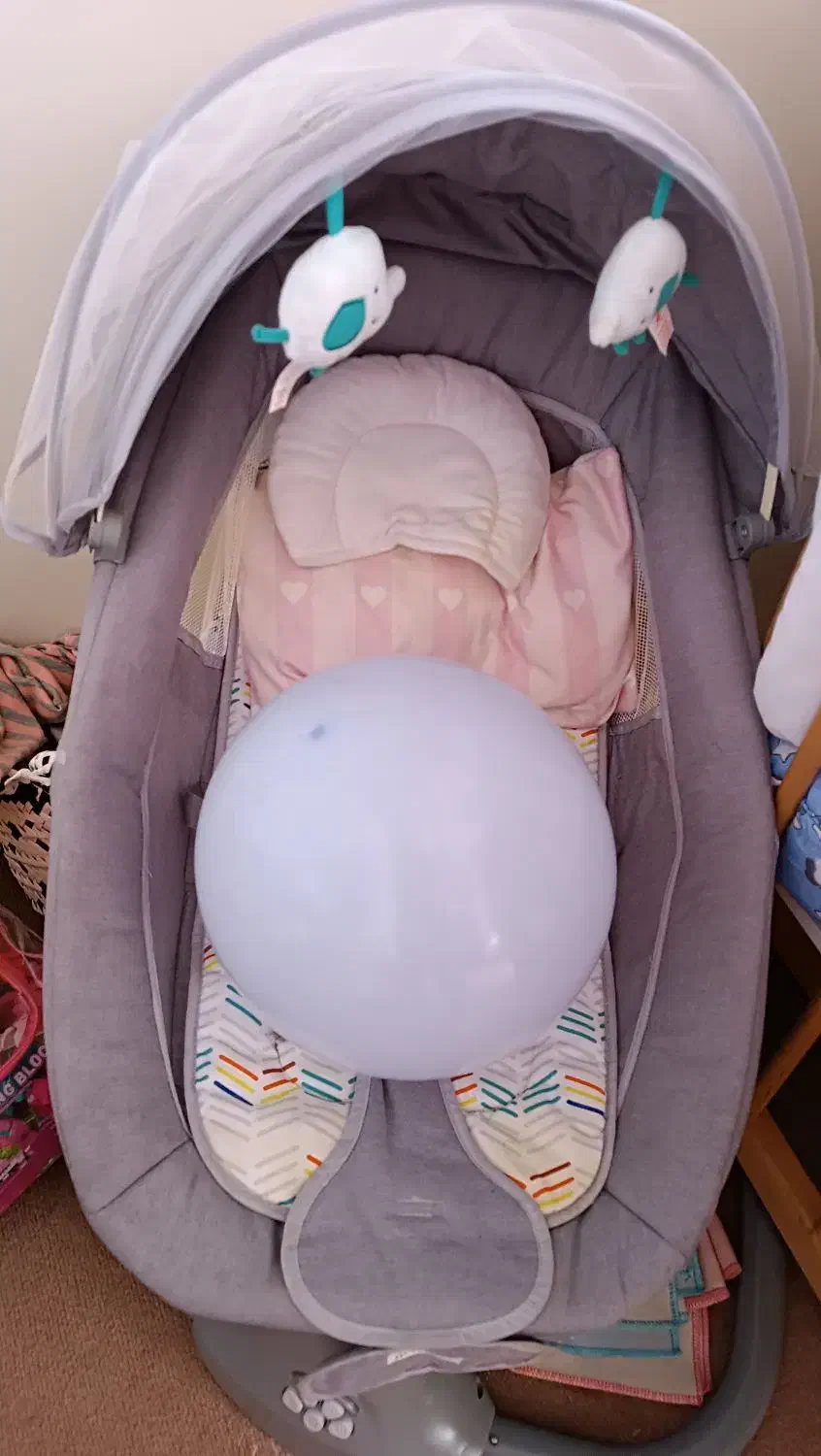 گهواره برند ماستلا|کالسکه و لوازم جانبی|ساری, |دیوار