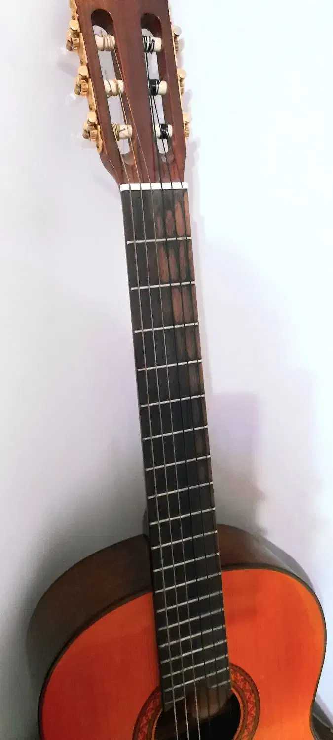 فروش فوری گیتار|گیتار، بیس، امپلیفایر|قائم‌شهر, |دیوار