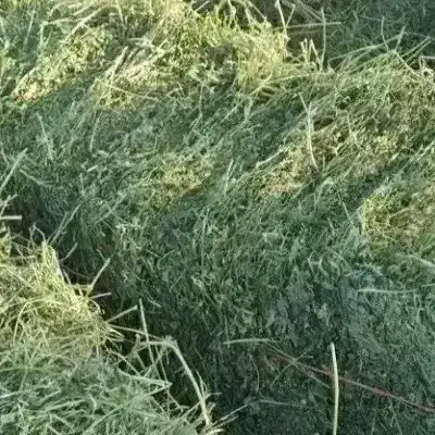 پرس یونجه|لوازم جانبی حیوانات|خرم‌آباد, |دیوار