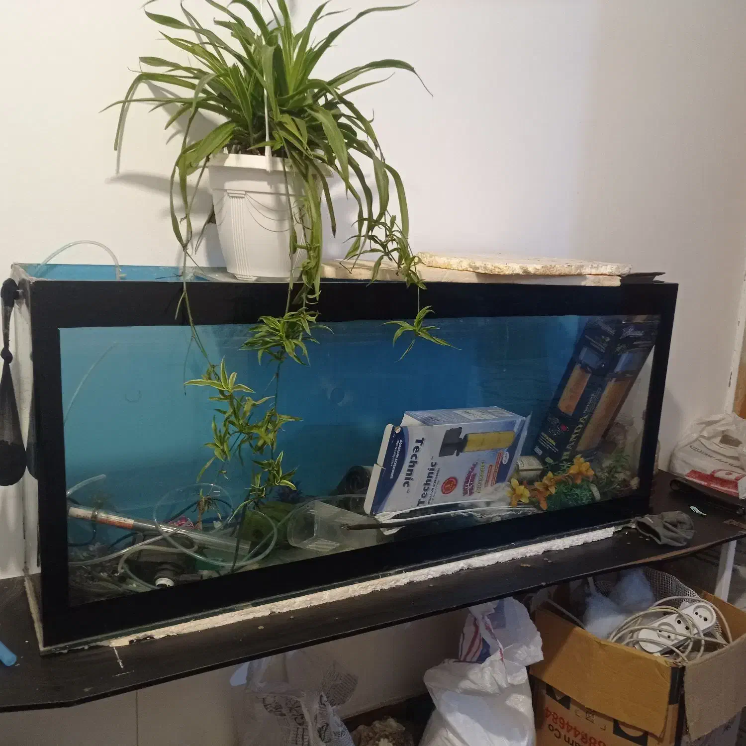 اکواریوم بزرگ|ماهی|تربت جام, مطهری|دیوار