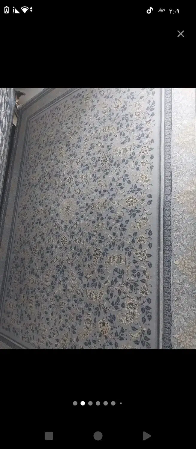 تعدادی فرش تمام نخ درجه یک|فرش|دزفول, |دیوار