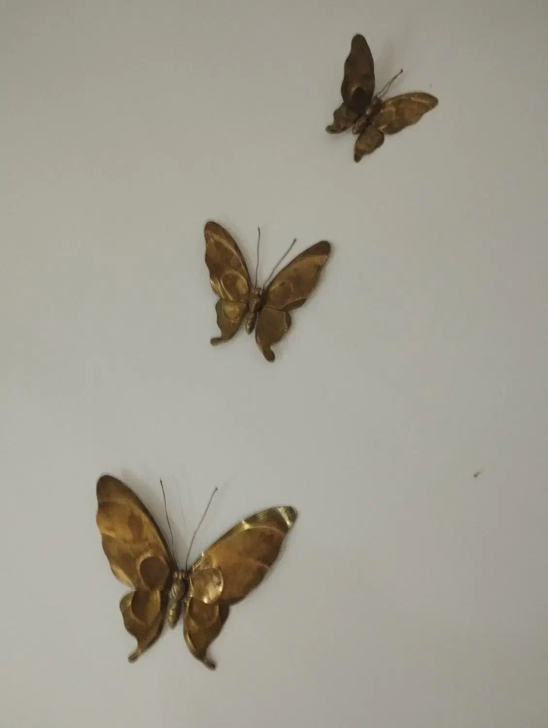 پروانه مسی دیواری|مجسمه، تندیس، ماکت|میبد, |دیوار