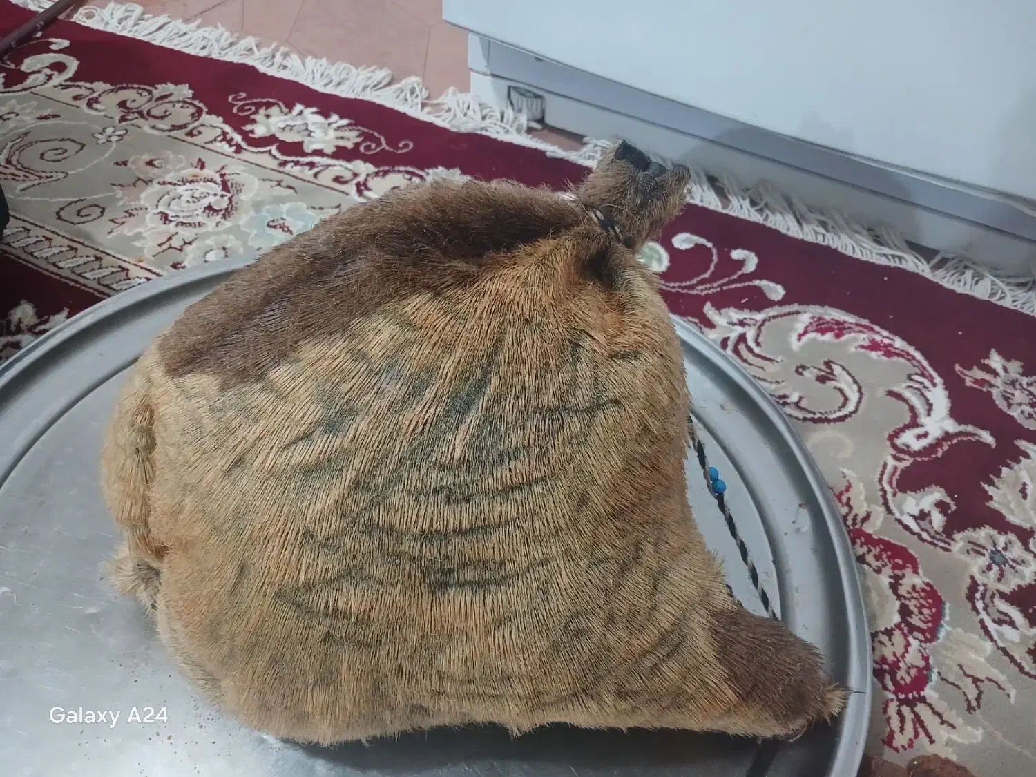 هیزه معاوضه با روغن|ظروف نگهدارنده، پلاستیکی، یک‌بارمصرف|کوهدشت, |دیوار