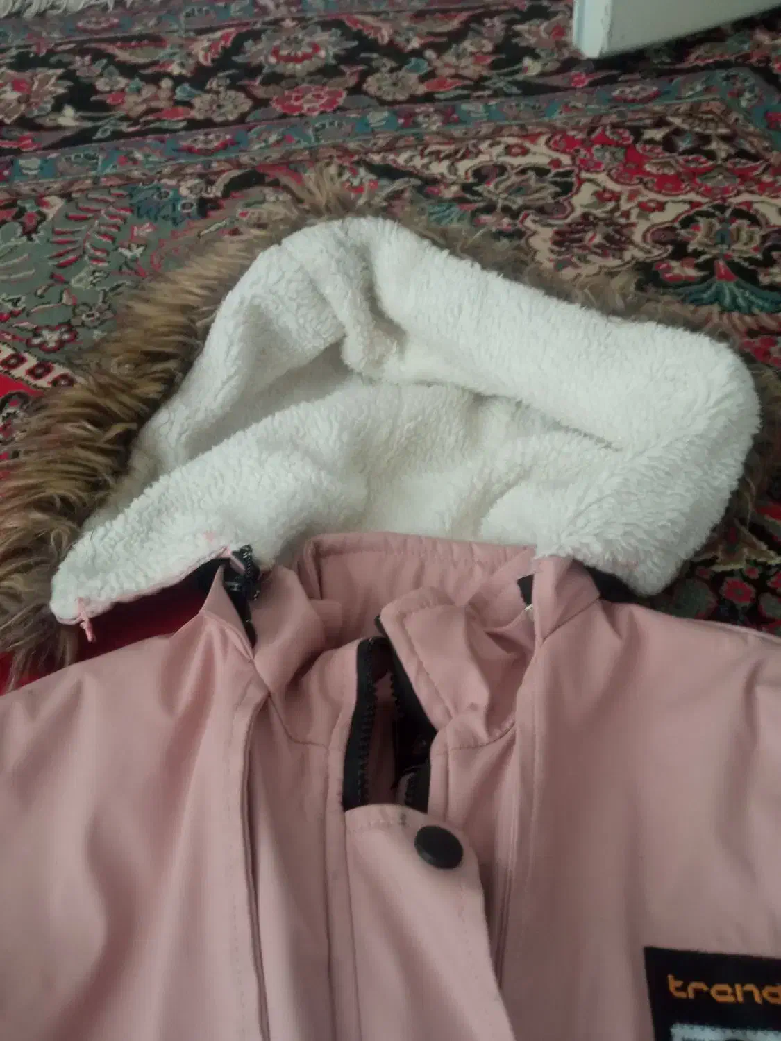 پالتو دخترانه|کفش و لباس بچه|تربت جام, میان جام|دیوار