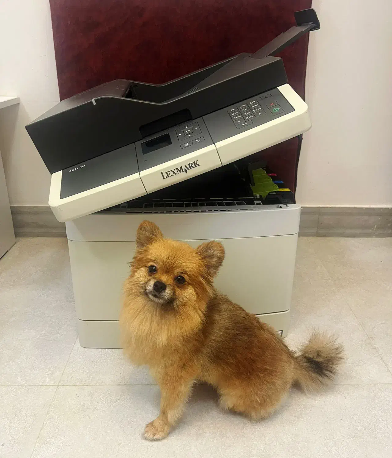 پرینتر لیزری رنگی لکسمارک|پرینتر، اسکنر، کپی، فکس|تنکابن, |دیوار